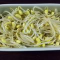 松ぼっくり。's cooksnap of when they made 簡単レシピ☆子大豆もやしのナムル.