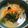 蜂蜜きなこ's cooksnap of when they made 大根とにんじんのみそ汁を簡単に！.
