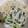 モヤシっ子's cooksnap of when they made のどぐろだし塩のスープ.