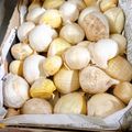 のんべぇヒロ's cooksnap of when they made 冷凍より楽チン簡単！にんにく保存方法.