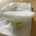 らんち☆'s cooksnap of when they made 丸々一個きれいにスライス！新たまねぎ♬.