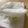 らんち☆'s cooksnap of when they made 丸々一個きれいにスライス！新たまねぎ♬.