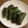 クックXPUZGA☆'s cooksnap of when they made ズッキーニのソテー.