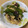 わかポン☆'s cooksnap of when they made たけのことピーマンの生姜醤油おかか和え♪.