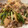 sacching's cooksnap of when they made 豚肉とカブの生姜焼き☆葉も全部使って！.