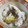 Ｎよんよん's cooksnap of when they made ✿秋 炊飯器で簡単さつまいもご飯✿.