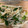 みぃぃ－'s cooksnap of when they made 一風堂風　もやしとニラのナムル.