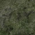 MULA's cooksnap of when they made セロリの葉っぱスープ.