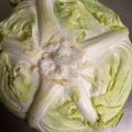 のんべぇヒロ's cooksnap of when they made ２週間後でもパリッパリ♪キャベツの保存法.