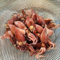 azbjbn's cooksnap of when they made 美味しく食べられる！ほたるいかの下処理♡.