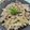 みっちゃん❇️68's cooksnap of when they made うどと豚肉の炒めもの.