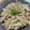 みっちゃん❇️68's cooksnap of when they made うどと豚肉の炒めもの.