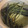 ゆるмαмα's cooksnap of when they made 農家さん直伝！わらびのあく抜き法・保存法.