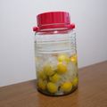 チョビ～☆'s cooksnap of when they made [基本]梅酒の作り方.