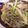 茶色チャリ's cooksnap of when they made 豚こま肉とカブのコッテリ甘酢炒め.