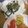 ☆あさ's cooksnap of when they made サクッ！トロッ！ワラビの天ぷら.