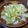 クリーピングタイム☆'s cooksnap of when they made はまる！レタスが丸々食べれちゃうサラダ♪.