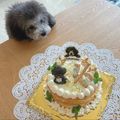 あっ君ママ♪'s cooksnap of when they made ◆しっとり・ふわふわ＊ミルクスポンジ◆.