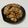 龍 結城's cooksnap of when they made ごはんすすむ甘辛ダレ！【豚バラ丼】.