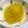 クックTJ8EHB☆'s cooksnap of when they made ☆きんとん？さつまいも餡☆.