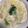 HarJCQ8B0☆'s cooksnap of when they made 白菜と大根と鶏肉のクリーム煮.
