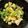 あいぇな's cooksnap of when they made ☆簡単☆ふんわり卵の小松菜中華炒め.