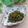 クックHG9V8Y☆'s cooksnap of when they made ごはんの友☆大根の葉（かぶの葉）の常備菜.