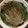 クックZ7OLMA☆'s cooksnap of when they made ゴマの葉のキムチ.