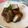 きなぺこあずみん's cooksnap of when they made 高野豆腐のバラ肉巻き.
