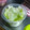 クック862Z6P☆'s cooksnap of when they made レタスとツナの塩だれサラダ【作り置き】.