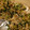 Licht_ir's cooksnap of when they made 小松菜としらす❀混ぜご飯.
