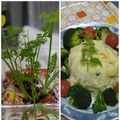 コネコリン's cooksnap of when they made キッチン菜園のつもり？.