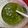 PIYA＊Hota's cooksnap of when they made ミキサーで作るジェノベーゼソース.