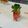 ふう's cooksnap of when they made おせち料理　ちくわ門松.