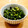 かなりんココりん's cooksnap of when they made 【作り置き】大根の葉 ごま油炒め.