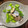 hiromi17's cooksnap of when they made あさりと菜の花の酒蒸し♪.