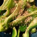 きゃろぽて's cooksnap of when they made 火も油も使わず2分で！ピーマンだけで副菜.