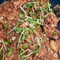 ぽちゃすけ's cooksnap of when they made 大根の肉そぼろ煮.