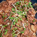 ぽちゃすけ's cooksnap of when they made 大根の肉そぼろ煮.