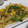 fu♪♪'s cooksnap of when they made 簡単！美味♪もやしとツナのカレーマヨ炒め.