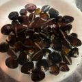 さんちゃん（╹◡╹）'s cooksnap of when they made 5分でOK！シジミの砂抜き（アサリでも）.