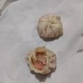 クックVNZV99☆'s cooksnap of when they made ヒダばっちりの包み方☆餃子の皮で小籠包.