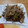 ポニーリボン's cooksnap of when they made 牛肉と舞茸、牛蒡の炒め煮（時雨煮風）.