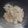 メイプル⌘'s cooksnap of when they made 簡単でおいしい！オイマヨ♪大根サラダ.