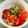 azbjbn's cooksnap of when they made 新たまねぎで和風トマトサラダ.