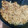 ともっち21's cooksnap of when they made 食感が楽しい！れんこんのたたき焼き.