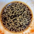 あきのん☆'s cooksnap of when they made コチュジャンが美味しい♪油淋鶏のたれ.