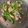 白モンブラン's cooksnap of when they made サバ水煮缶de無限ピーマン.