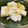 おさむーちょ's cooksnap of when they made ゆず長芋漬け（柚子）　.