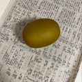ひしき♪♪♪'s cooksnap of when they made キウイの保存方法。新聞紙で。.